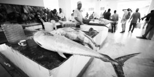 DIKONA SOKO LA SAMAKI 2024