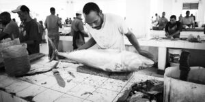 DIKONA SOKO LA SAMAKI 2024